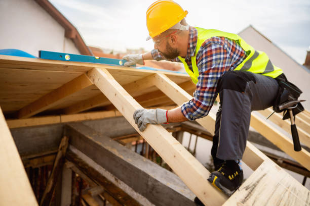 Best Roof Gutter Cleaning  in Orange, OH